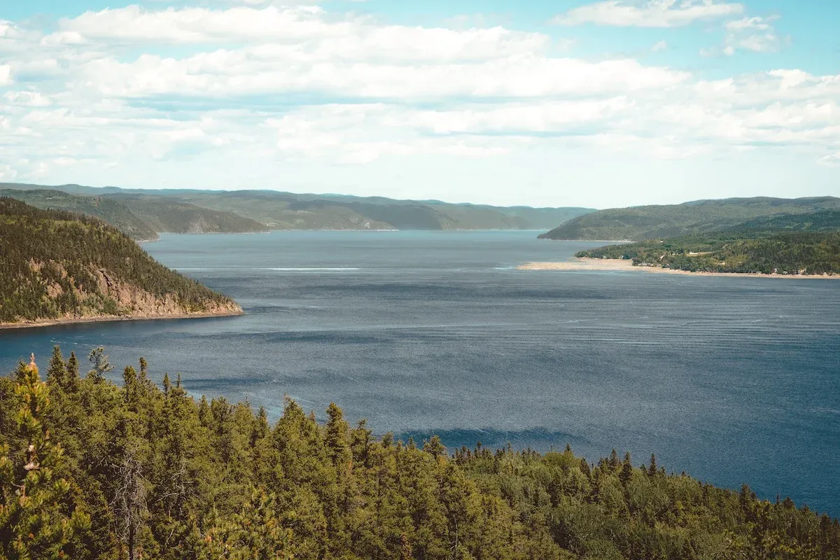 A lake surrounded by forest