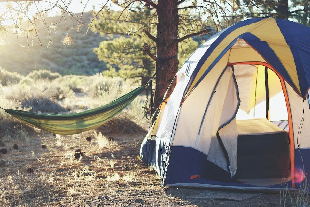 A tent and a hammock in the forest